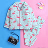 Light Blue Flamingoes Theme Full sleeve Night Suit