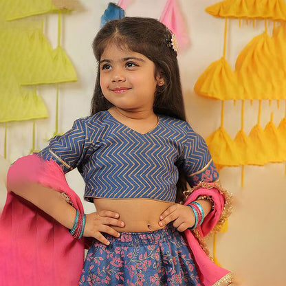 Blue Block Printed Lehenga Set